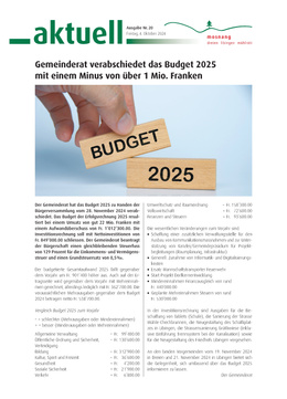 Gemeinderat verabschiedet das Budget 2025 mit einem Minus von über 1 Mio. Franken